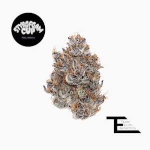 Team Elite Genetics - TEAM ELITE GENETICS: Styrofoam Cup 3.5g (I)