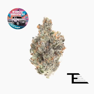 Team Elite Genetics - TEAM ELITE GENETICS: White Bronco 3.5g (H)