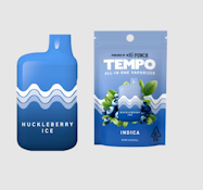 Tempo by Punch | All In One - Huckleberry Ice