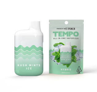 Punch Extracts - Tempo by Punch | All In One - Kush Mints Ice (H)