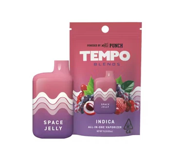 Punch Extracts - Tempo by Punch | All In One - Space Jelly (I)