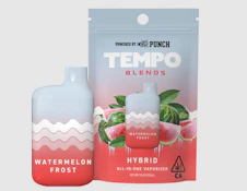 Tempo by Punch | All In One - Watermelon Frost (H)