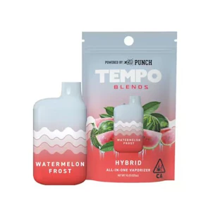 TEMPO -  [Tempo] Blends - AIO - 1g - Watermelon Frost (H)