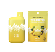 Tempo by Punch | All In One - Yuzu Haze