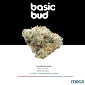 Basic Bud - 1/2oz Indoor - Tequila Sunrise