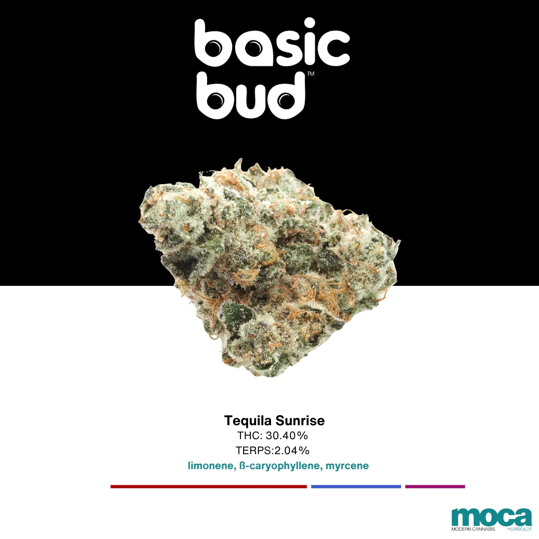 Basic Bud - Basic Bud - 1/2oz Indoor - Tequila Sunrise Main Image