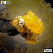 SPR - 1g LIVE RESIN Terp Sauce - Turbo Gush
