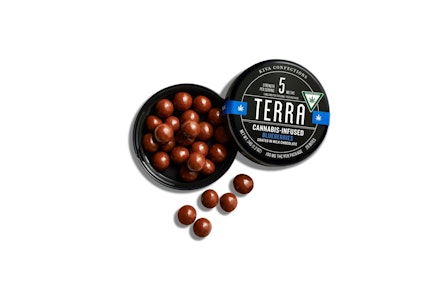 Terra Bites - Blueberry - 100mg