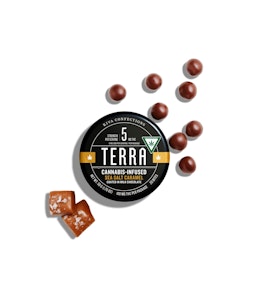 Terra Bites - Sea Salt Caramel - 100mg