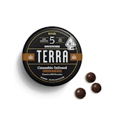 Dark Chocolate Espresso Beans - 100mg - Terra