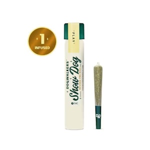 Dogwalkers - THaze Big Dogs | Infused Pre-roll | 1g | Dogwalkers