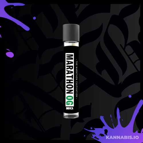 The Cure Company - The Cure Company - 1g - PreRoll - Marathon OG - (Indica) Main Image