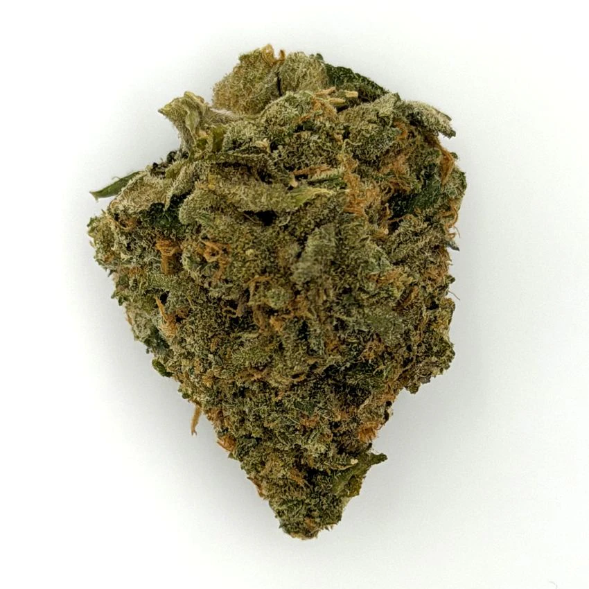 Craft Hydroponic - The Fizz | 3.2g Main Image