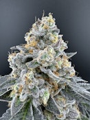 [REC] Jersey Strong | The Soap | 3.5g