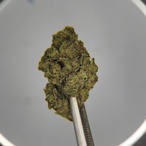 Future Farms - Future Farms | Flower [H] | The Vision (2246)