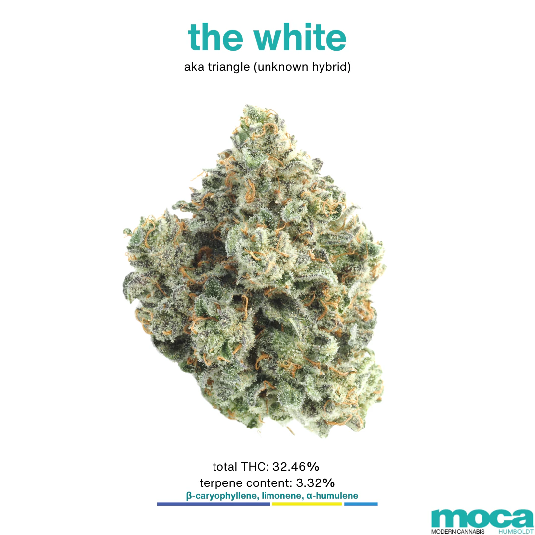 MOCA Flowers - MOCA Flowers - 1/8th Mylar Bag - The White Main Image