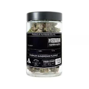 GELATO 41 14G - THE OUTLITT