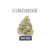 Anthologie Thug Roze 1g Preroll