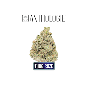 ANTHOLOGIE - Thug Roze 1g Preroll