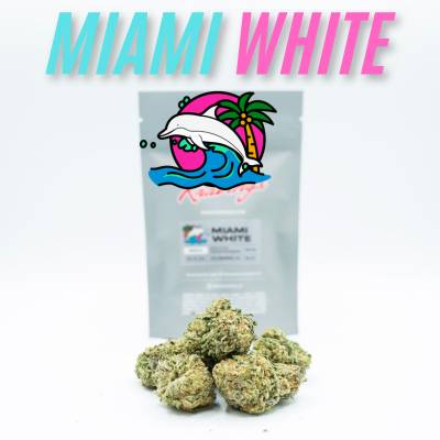 Kravings - Miami White - 7g