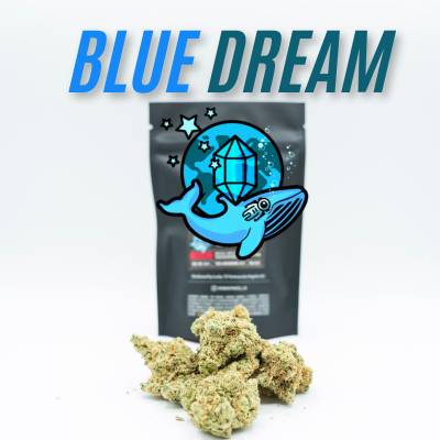 Kravings - Blue Dream - 7 gram