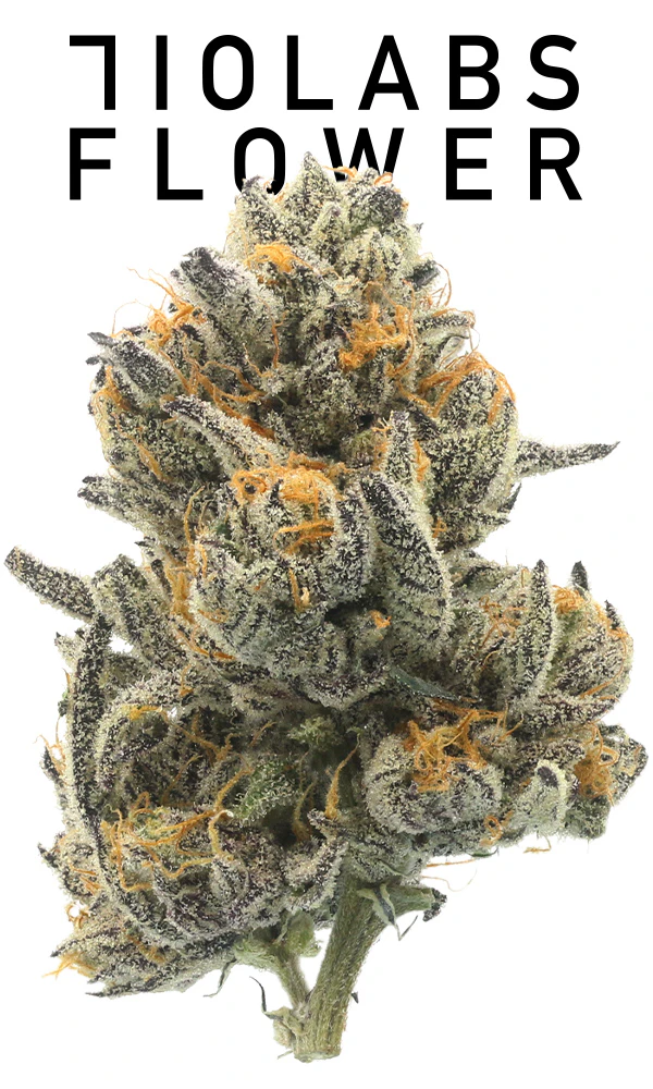 710 Labs - 710 Labs Piescream #7 Flower Main Image