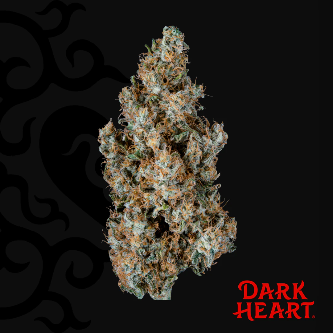 Dark Heart - Dark Heart | Titan Express | 3.5g Main Image