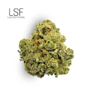Titty Sprinkles Bulk Flower - LIGHTSKY FARMS