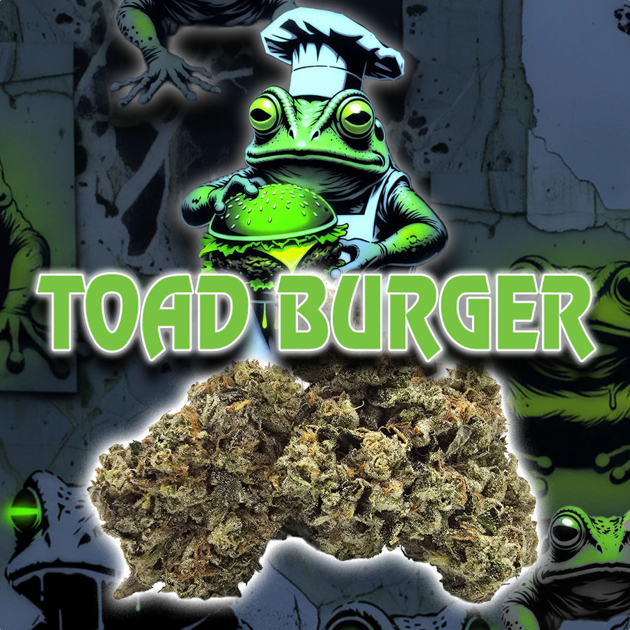 Green Dragon - 14g | $120 (Glass Jar) Toad Burger (S) Main Image