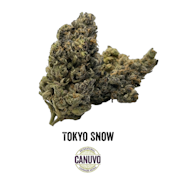 Canuvo | Tokyo Snow Value | 28g [H]