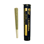 FLWR City - Top Gun  - 1g - Preroll