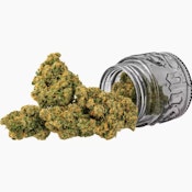 TOP SHELF CULTIVATION: Jack 3.5g (S)