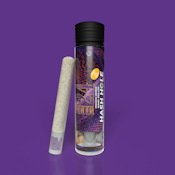 Traditional - Mamba 24 Hash Hole Infused Preroll 1.8g