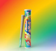 Traditional - 1g Preroll - Rainbow Runtz