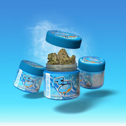 Traditional - 3.5g - Blue Donut