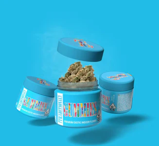 TRADITIONAL - Traditional - 3.5g - Gummies