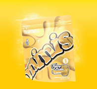 Traditional - 5g Minis - Honey Butter