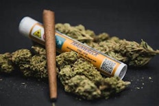 Breakfast Connections - Trainwreck - 1g Hemp Blunt