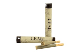 Leal | Blueberry Muffin | 1g Preroll