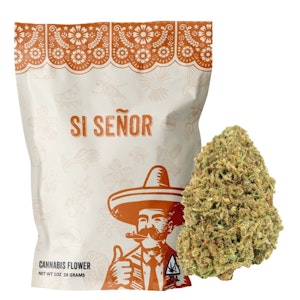 Si Señor - Si Señor - Kryptochronic - (H) 28g