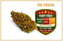 7g - Tricross - Indica Dom Hybrid