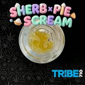 Tribe710 - Sherb x Pie Scream - Terp Sugar - 1G