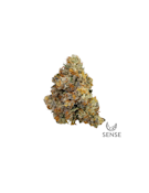 Tribute - 3.5g (H) - Sense