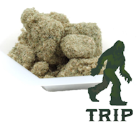 TRIP - Tropical Smash Melonz, 1g Full Spectrum Bubble Hash