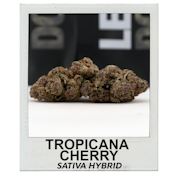 Tropicana Cherry / Ounce