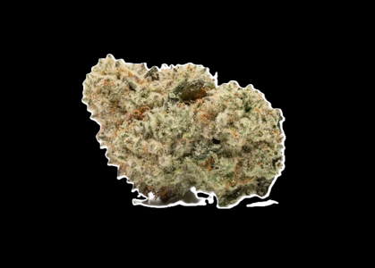 MJ VERDANT - Tropical Rabbit - Buds
