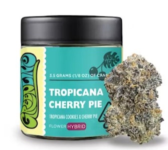GREENLINE - [GREENLINE] Flower - 3.5g -  Tropicana Cherry Pie (H)