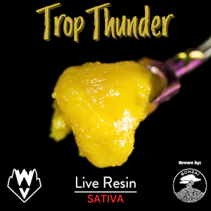 WILLAMETTE VALLEY ALCHEMY - Trop Thunder, Live Resin