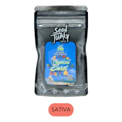Seed Junky - Tropical Burst 4pk - Preroll Pack - 4.0g