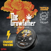 The Growfather | Tropical Charge Fast-Acting Gummies | 10pk/100mg